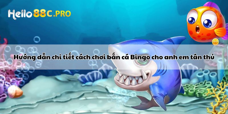 Hướng dẫn chi tiết cách chơi bắn cá Bingo cho anh em tân thủ